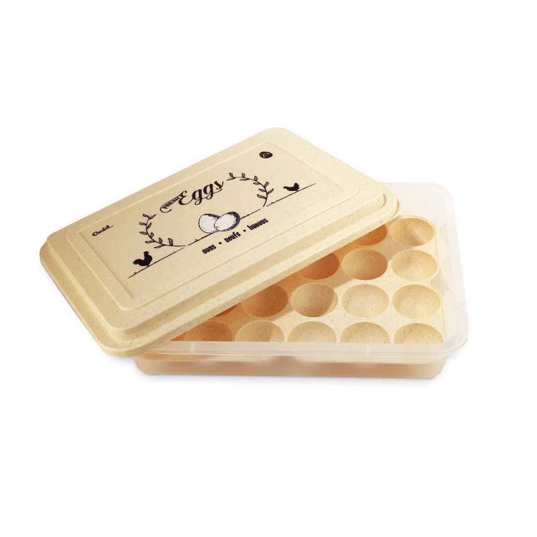 Caixa Ovos 24 | 320x230x76mm | Proteção Máxima Capacidade