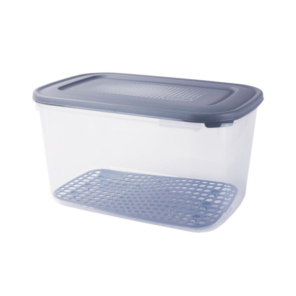 Caixa Alimentos c/ Rede Grande | 6.5L | 295x195x165mm | Conservação Frescura Hortaliças