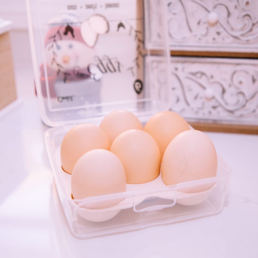 Conjunto 2 Caixas Ovos (24+24) | 320x230x76mm | Proteção Máxima Capacidade