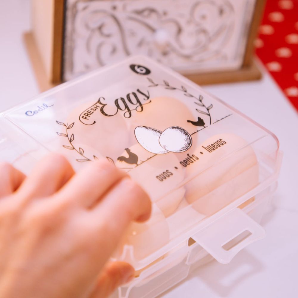 Caixa Ovos 6 | 147x149x72mm | Proteção Compacta Segura