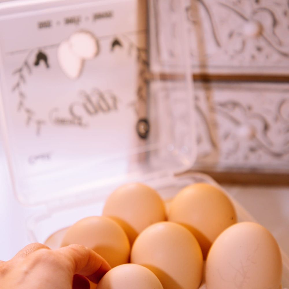 Caixa Ovos 6 | 147x149x72mm | Proteção Compacta Segura