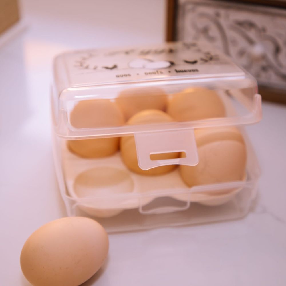 Caixa Ovos 6 | 147x149x72mm | Proteção Compacta Segura