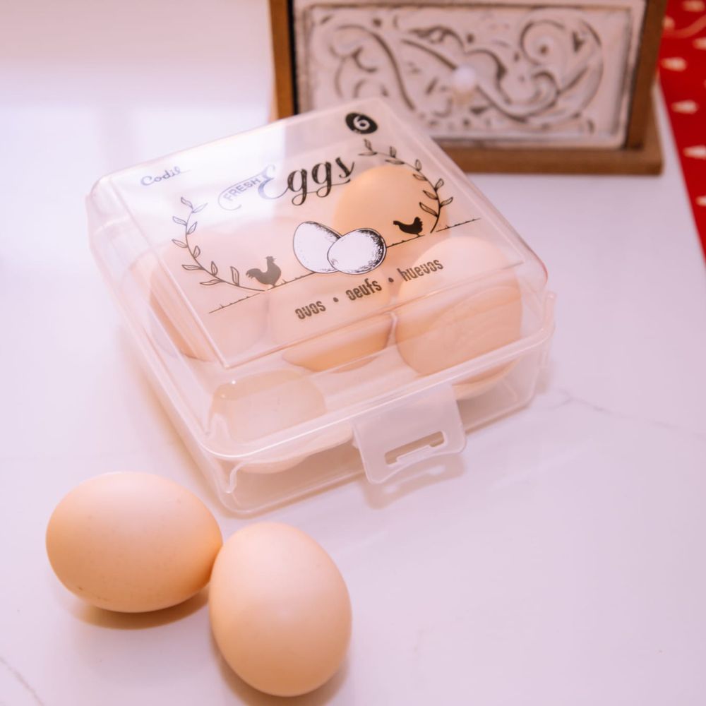 Caixa Ovos 6 | 147x149x72mm | Proteção Compacta Segura