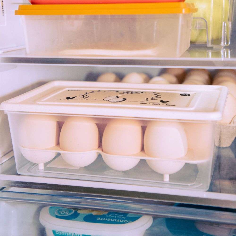 Caixa de transporte e conservação de 12 ovos | 239 x 147 x 85mmCaixa Ovos 12 | 239x147x85mm | Transporte e Proteção Segura