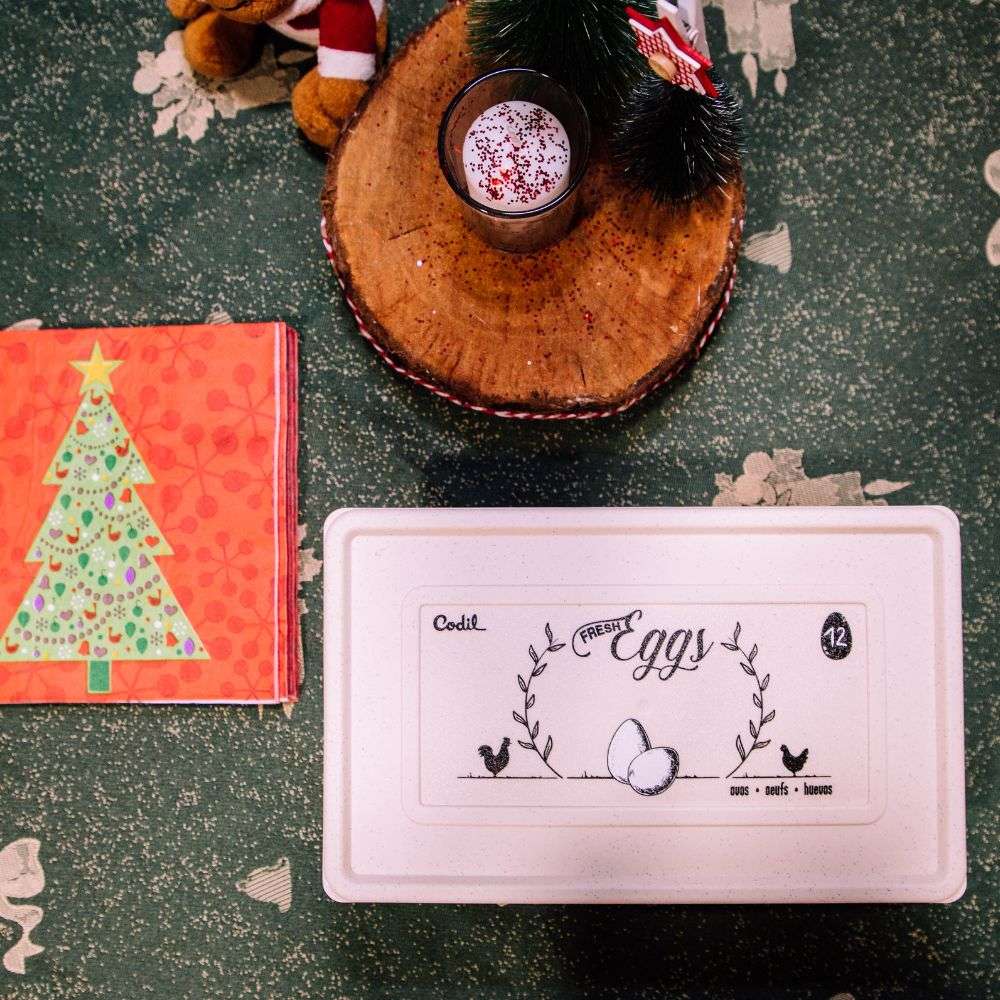 Caixa de transporte e conservação de 12 ovos | 239 x 147 x 85mmCaixa Ovos 12 | 239x147x85mm | Transporte e Proteção Segura