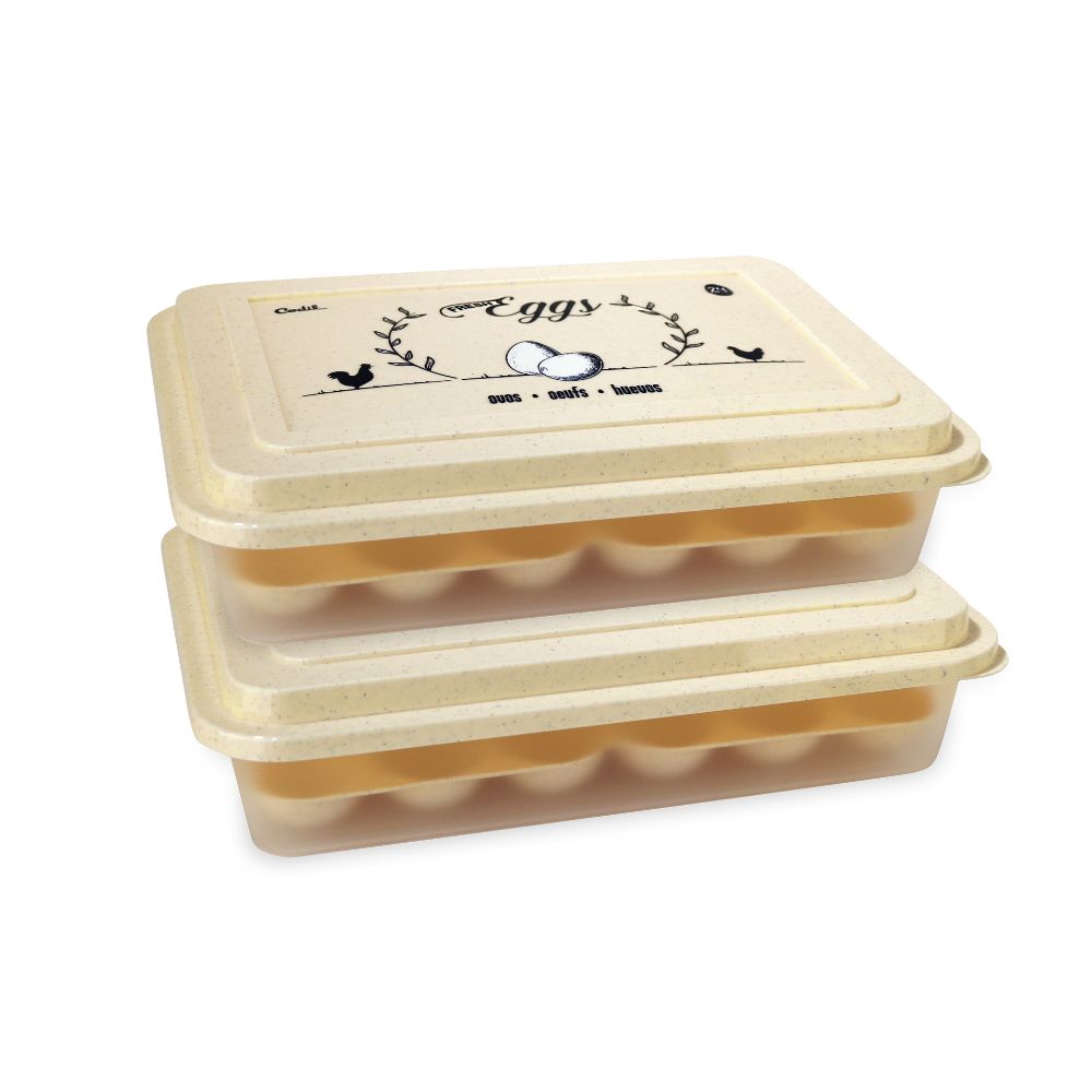 Conjunto 2 Caixas Ovos (24+24) | 320x230x76mm | Proteção Máxima Capacidade