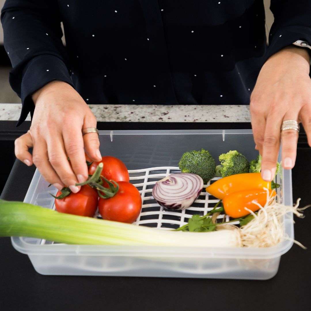 Caixa Alimentos c/ Rede Descongelação | 320x230x76mm | Descongelação Higiénica Escorredora