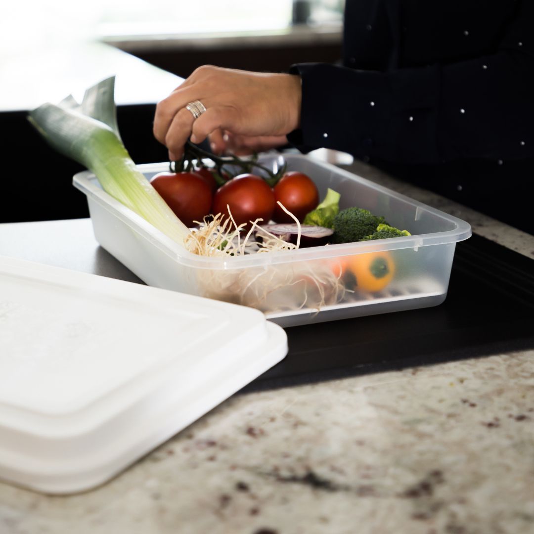 Caixa Alimentos c/ Rede Descongelação | 320x230x76mm | Descongelação Higiénica Escorredora