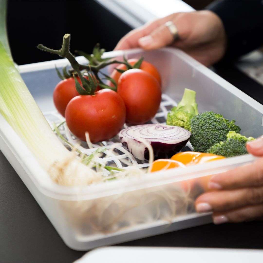 Caixa Alimentos c/ Rede Descongelação | 320x230x76mm | Descongelação Higiénica Escorredora