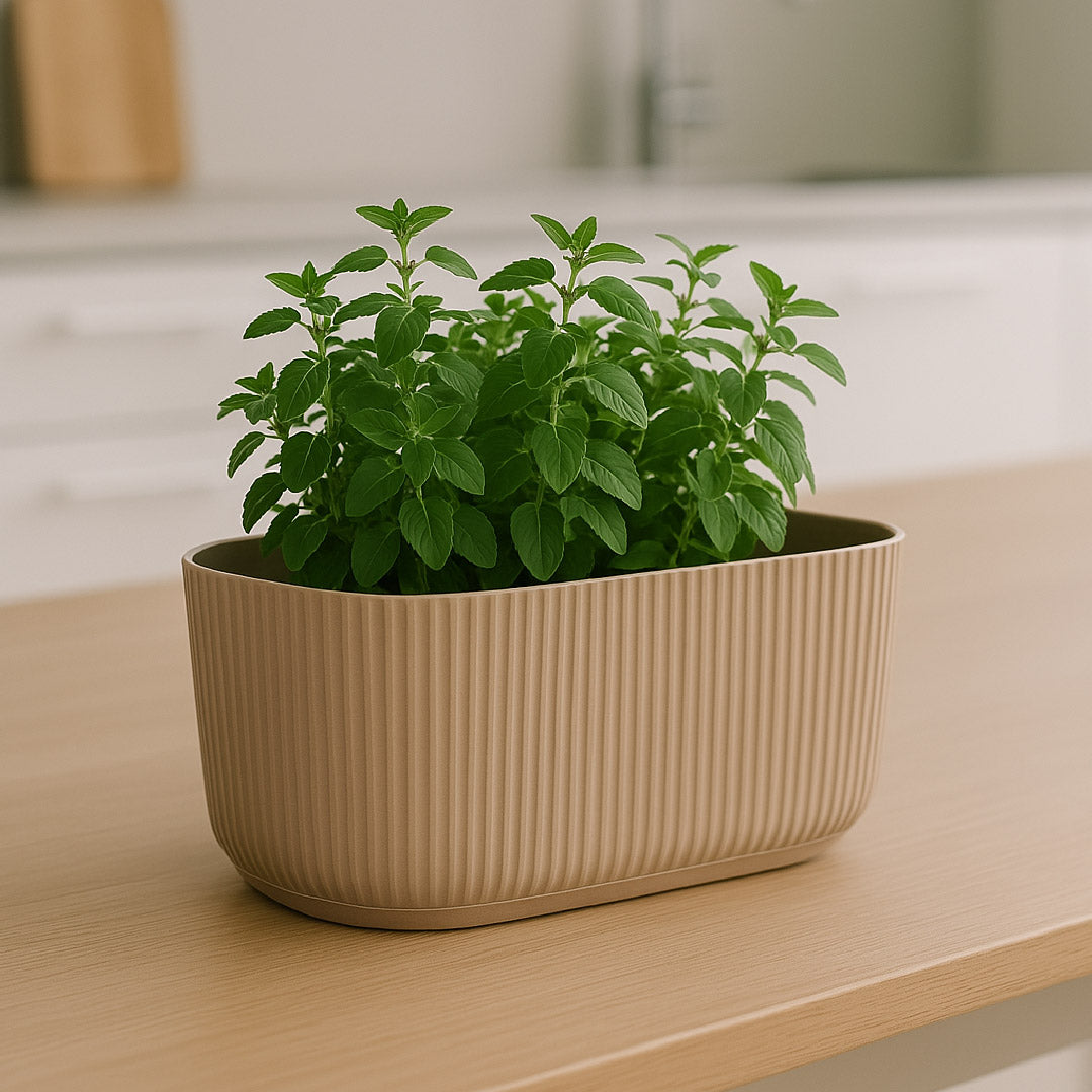 Floreira em plastico beje, com raiado e com formato ovalizado, com planta dentro, sobre prateleira de madeira clara.