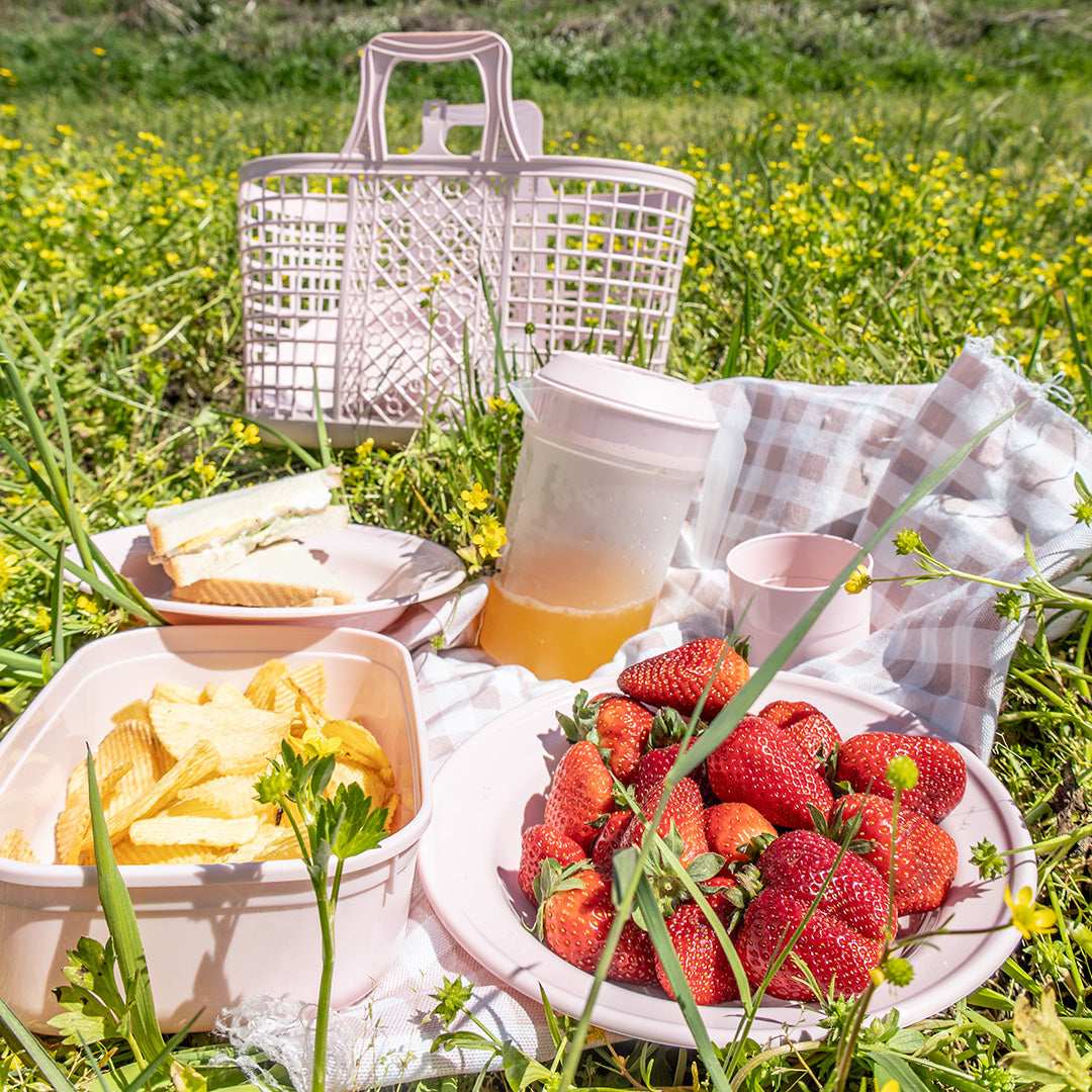 Conjunto Picnic | 429 x 180 x 345mm | Cor e Estilo para os Seus Momentos ao Ar Livre