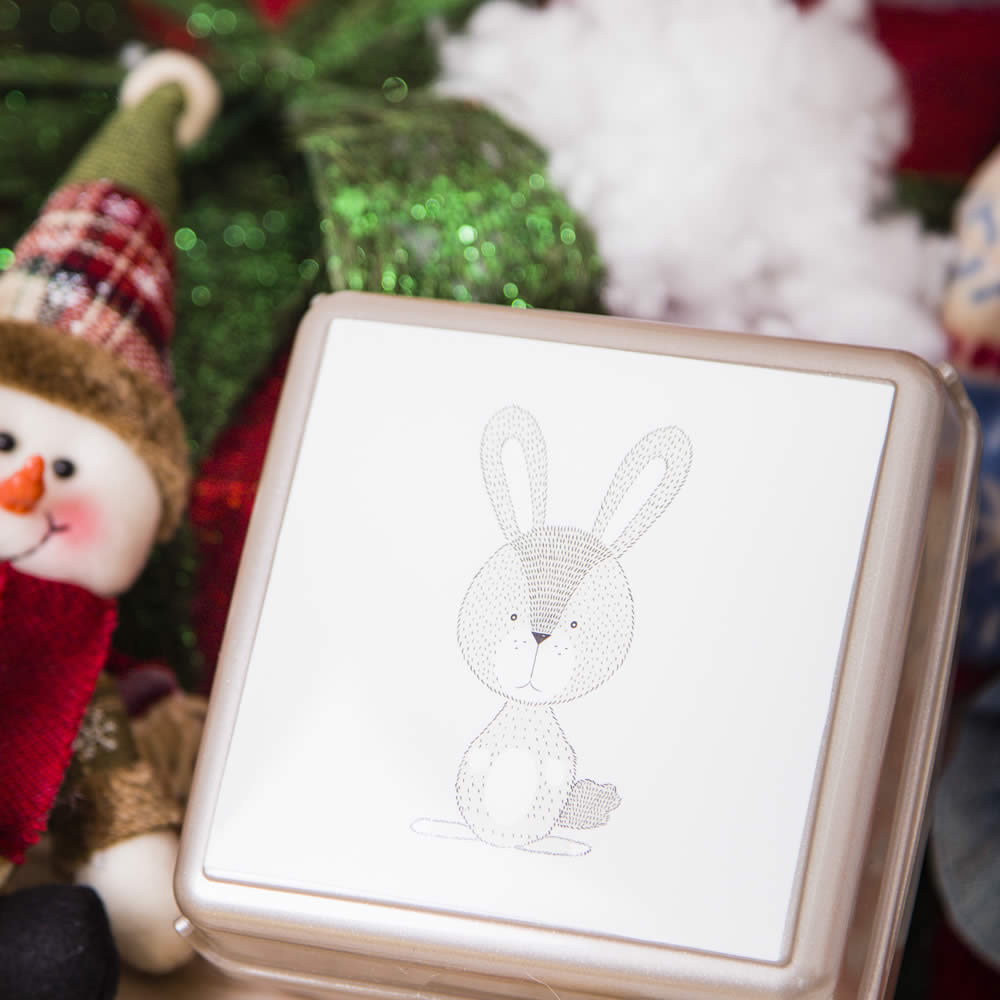 Lancheira Snackbox Animais | 1.2L | 147x149x72mm | Snacks Divertidos Crianças Adultos