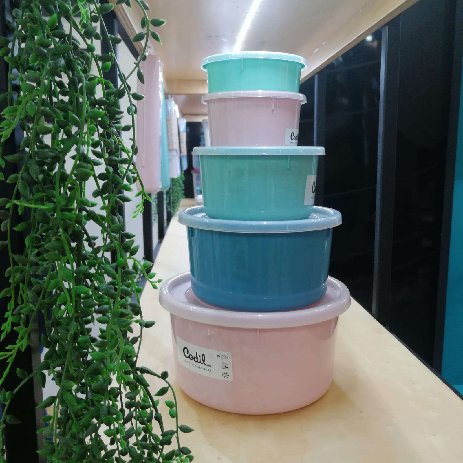 Conjunto 4 Caixas Alimentos Redondas | 0.3L a 2.1L | Ø102 a Ø195mm | Herméticas e Sem BPA