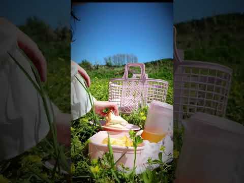Conjunto Picnic | 429 x 180 x 345mm | Cor e Estilo para os Seus Momentos ao Ar Livre